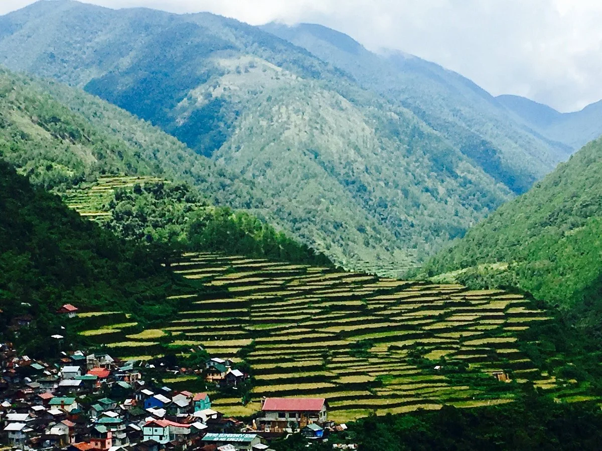 Bayyo Rice Terraces