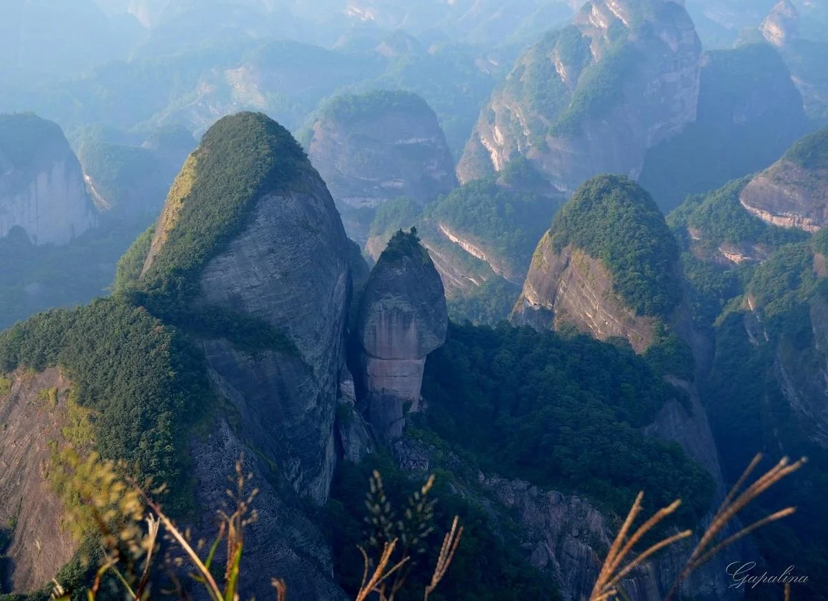 Bajiaozhai National Forest Park