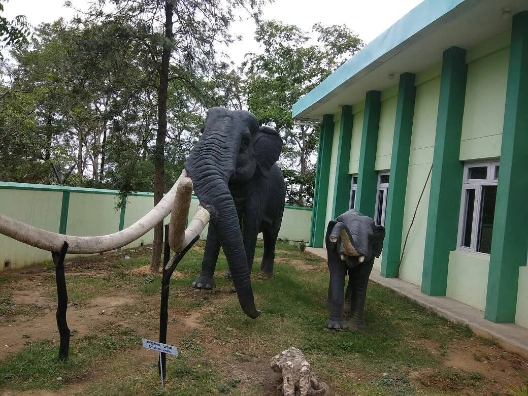 Suketi Fossil Park