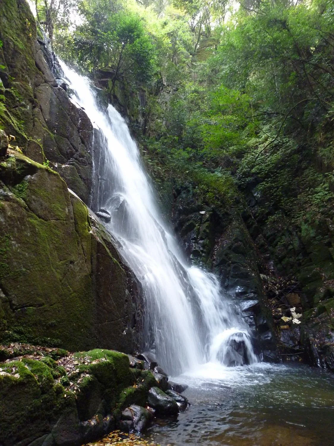 Kumomi Fall