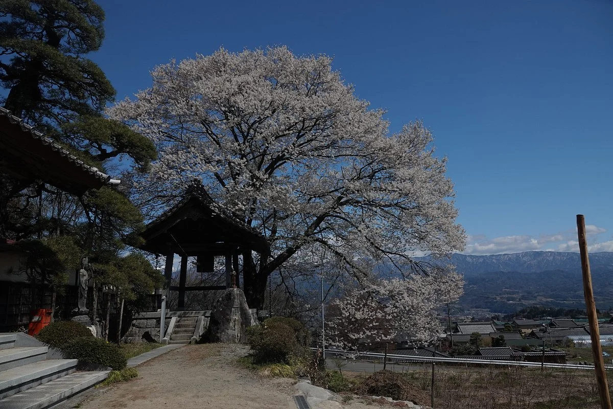 Ruriji Temple