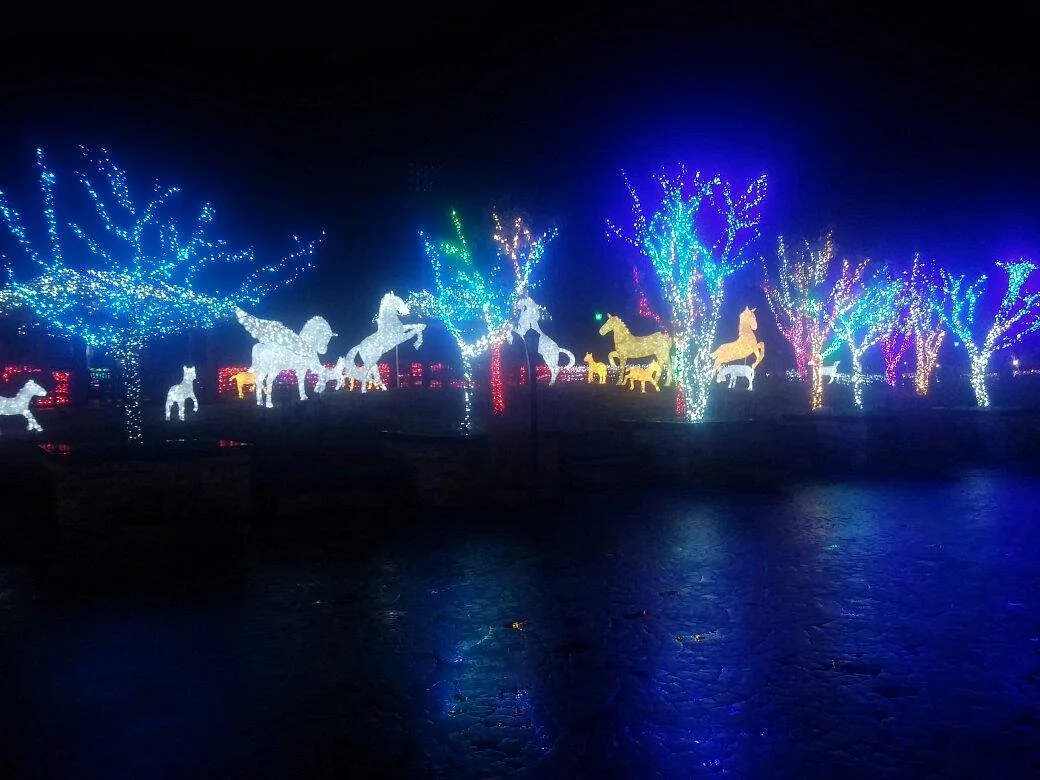 Let's Run Park Busan Gyeongnam