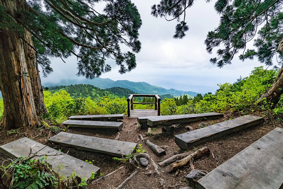Osadoishina Natural Cedar Walking Path