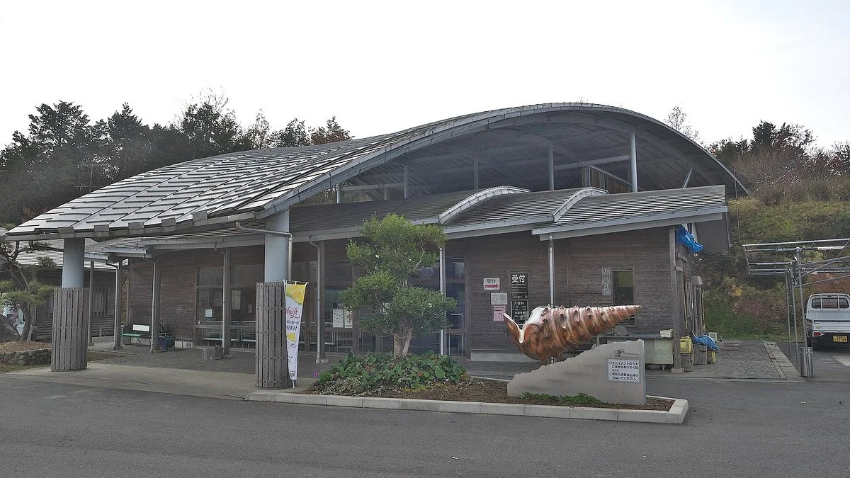 Nagi Bikaria Museum
