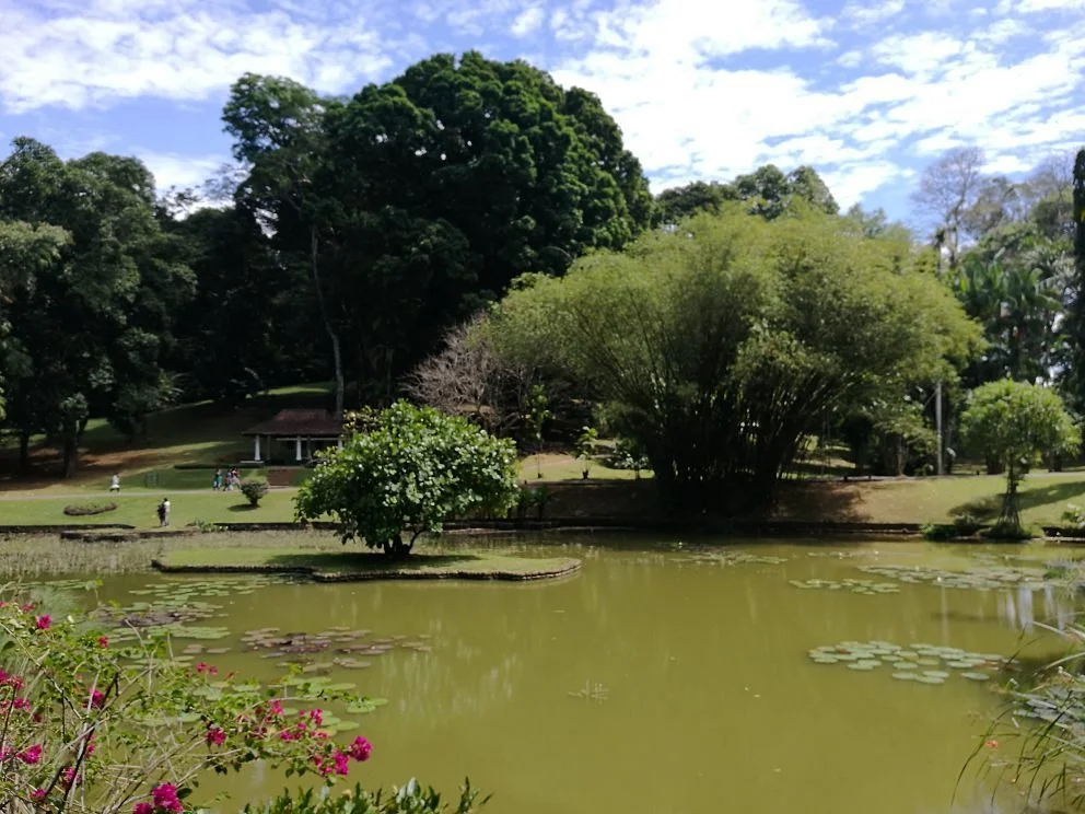 Royal Botanical Garden