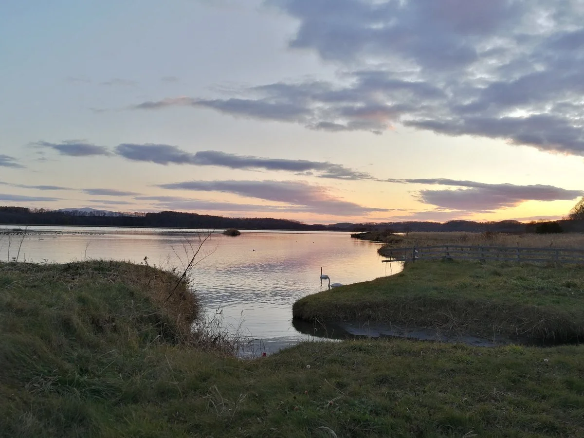 Tofutsu-ko Waterfowl And Wetland Center