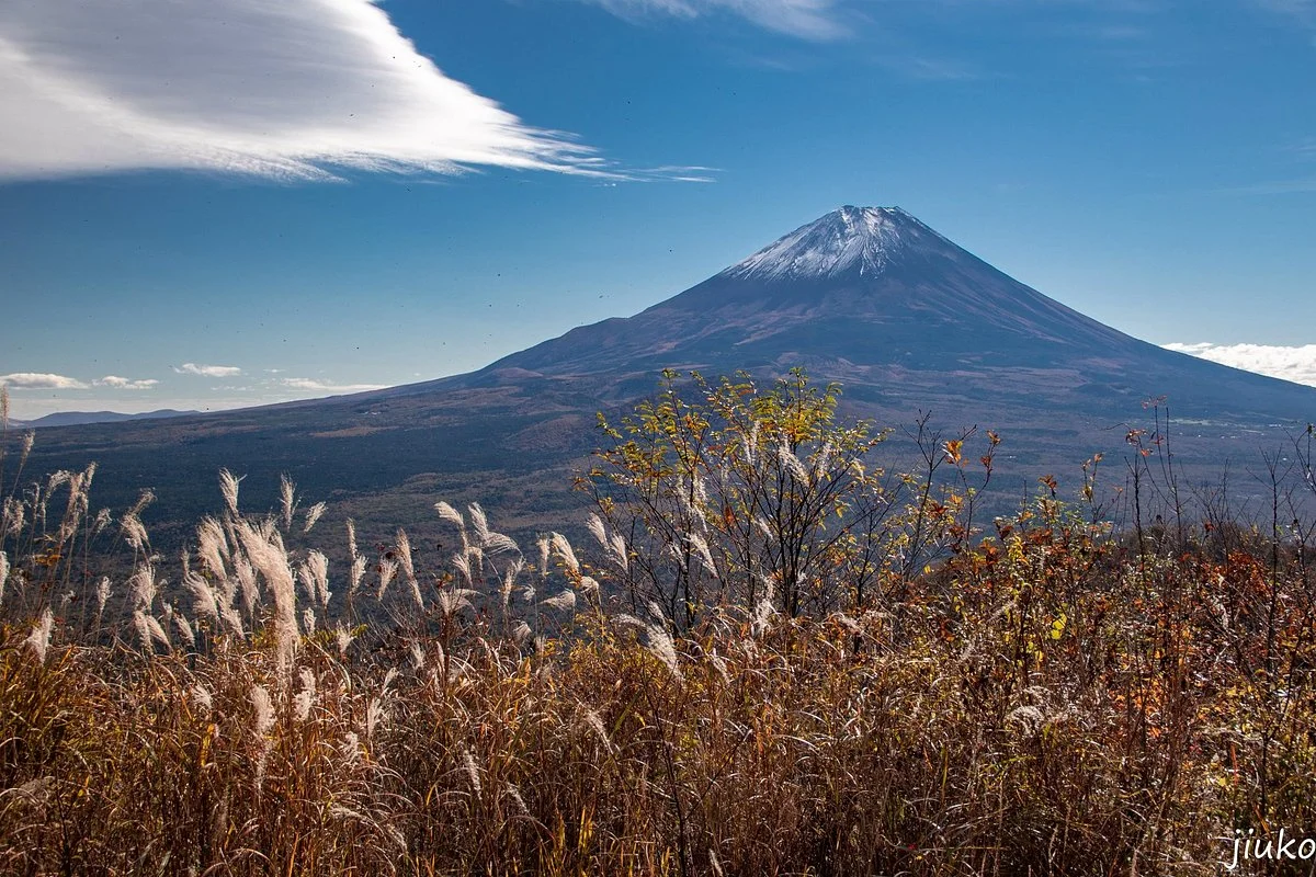 Shoji Panoramic Viewing Platform