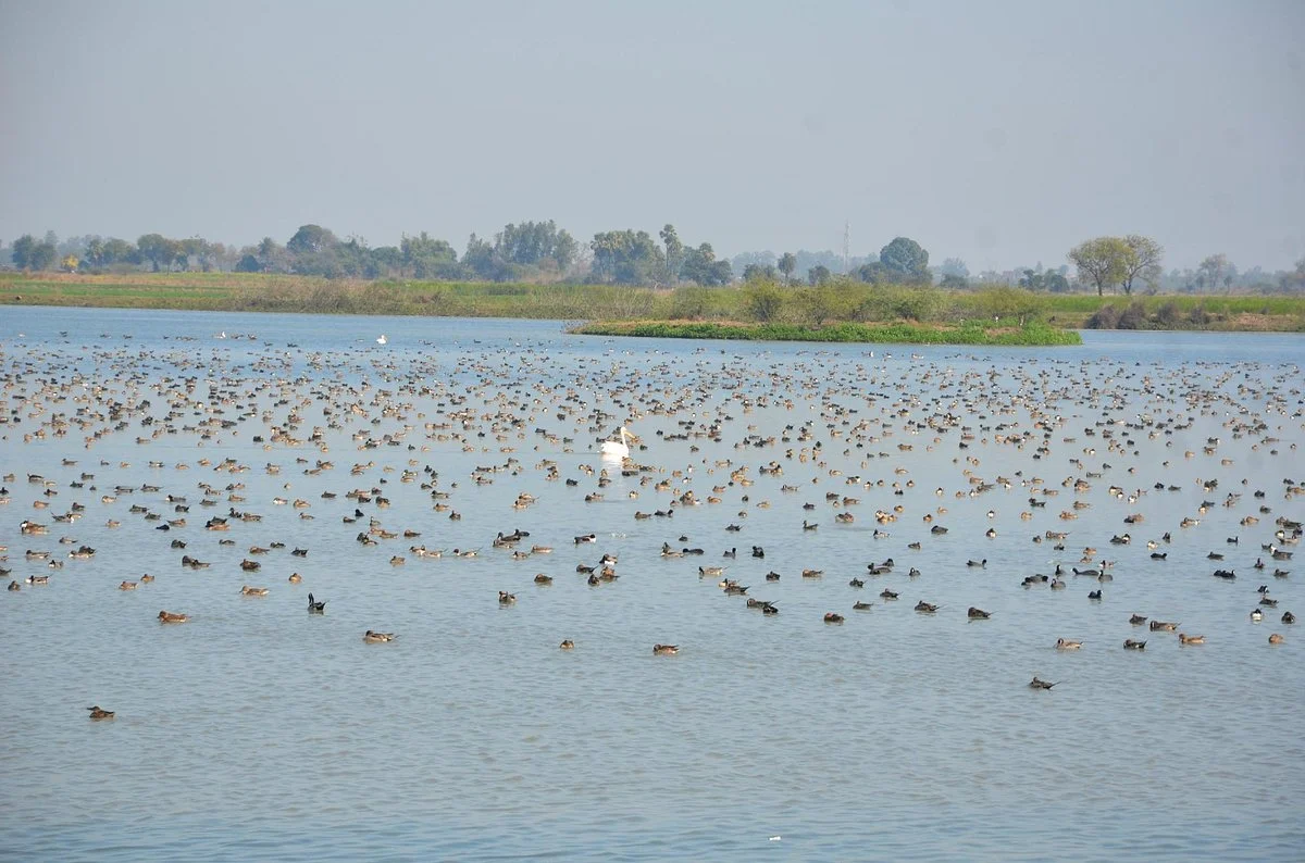 Lakh Bahosi Sanctuary