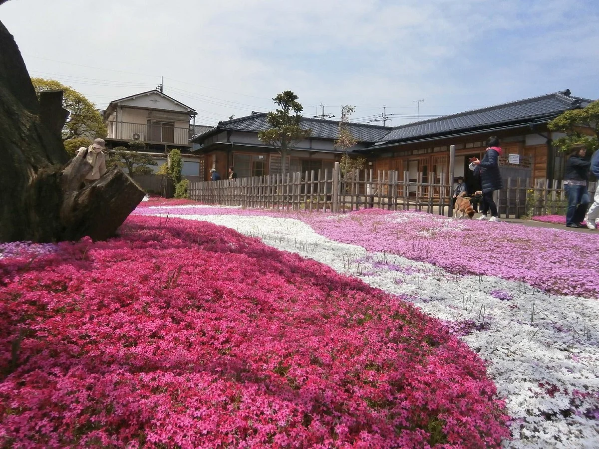 Kakumatsujyaku Memorial Museum