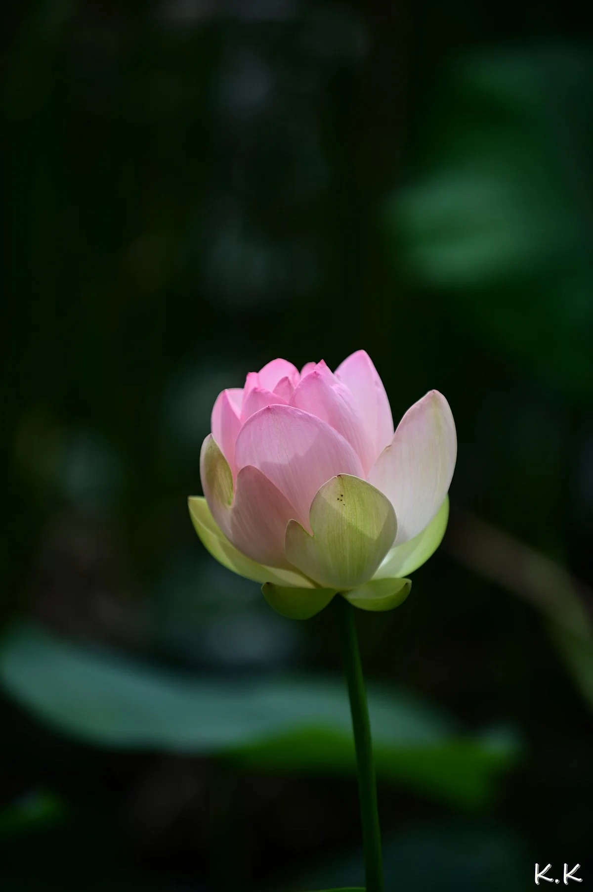 Chiba City Minato Park