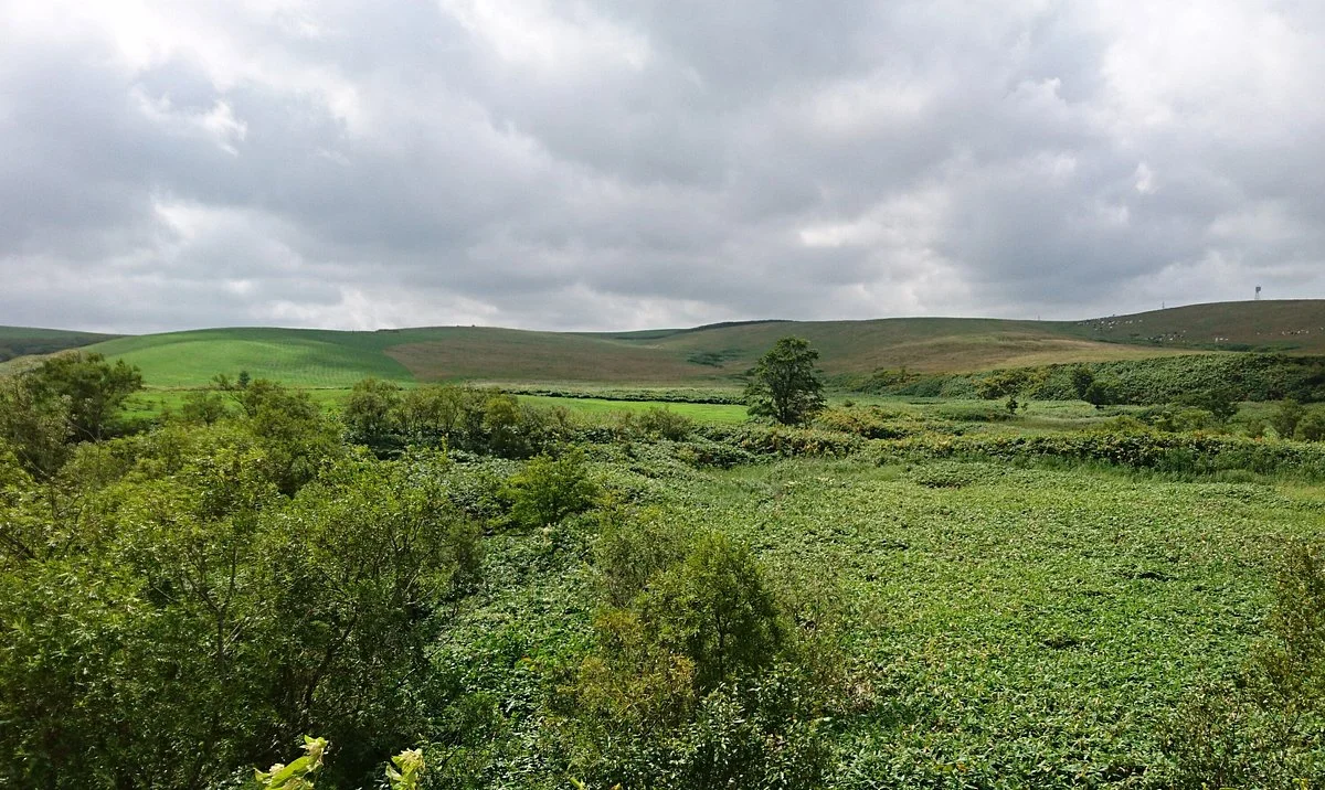 Okibosochi Ranch