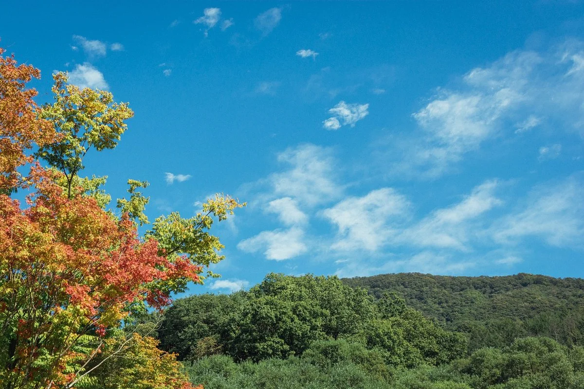 Yonin Natural Recreation Forest