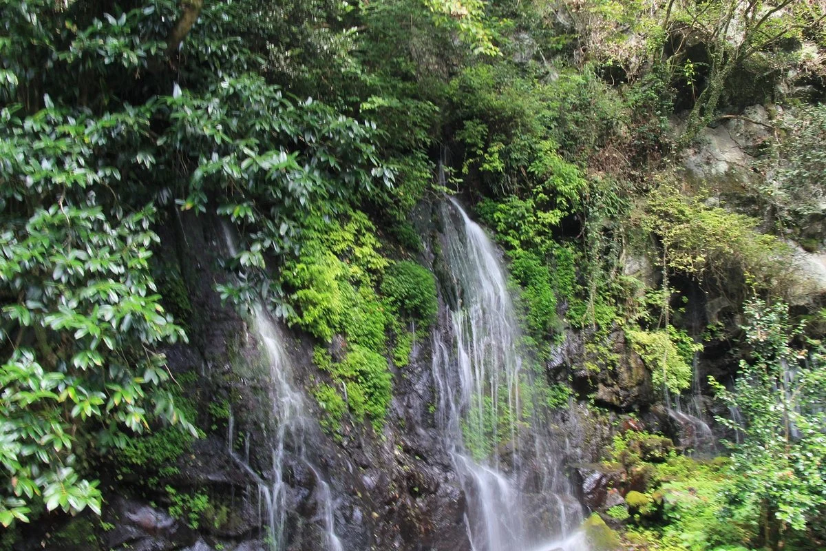 Tamatare Falls