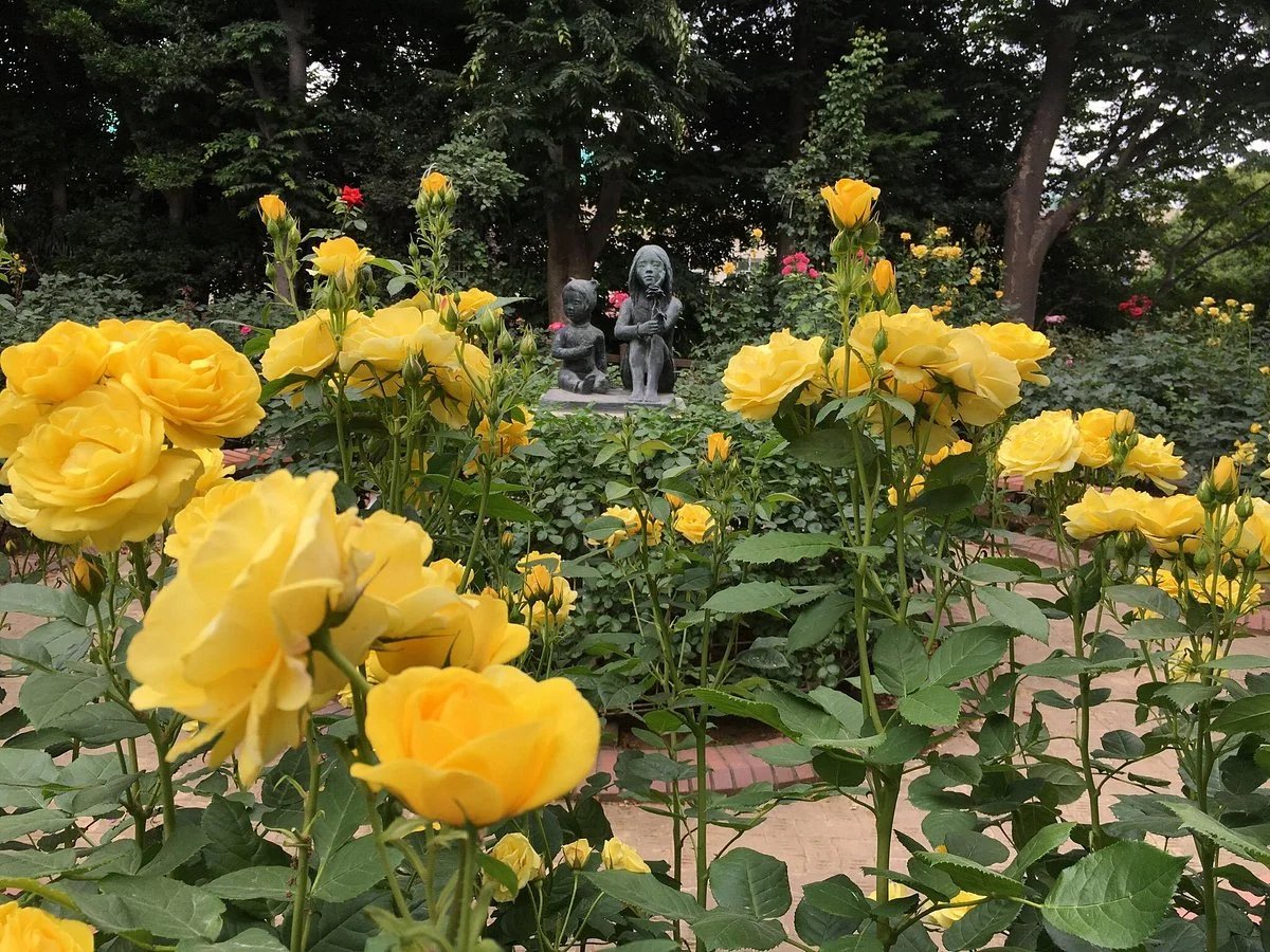 Suwada Park