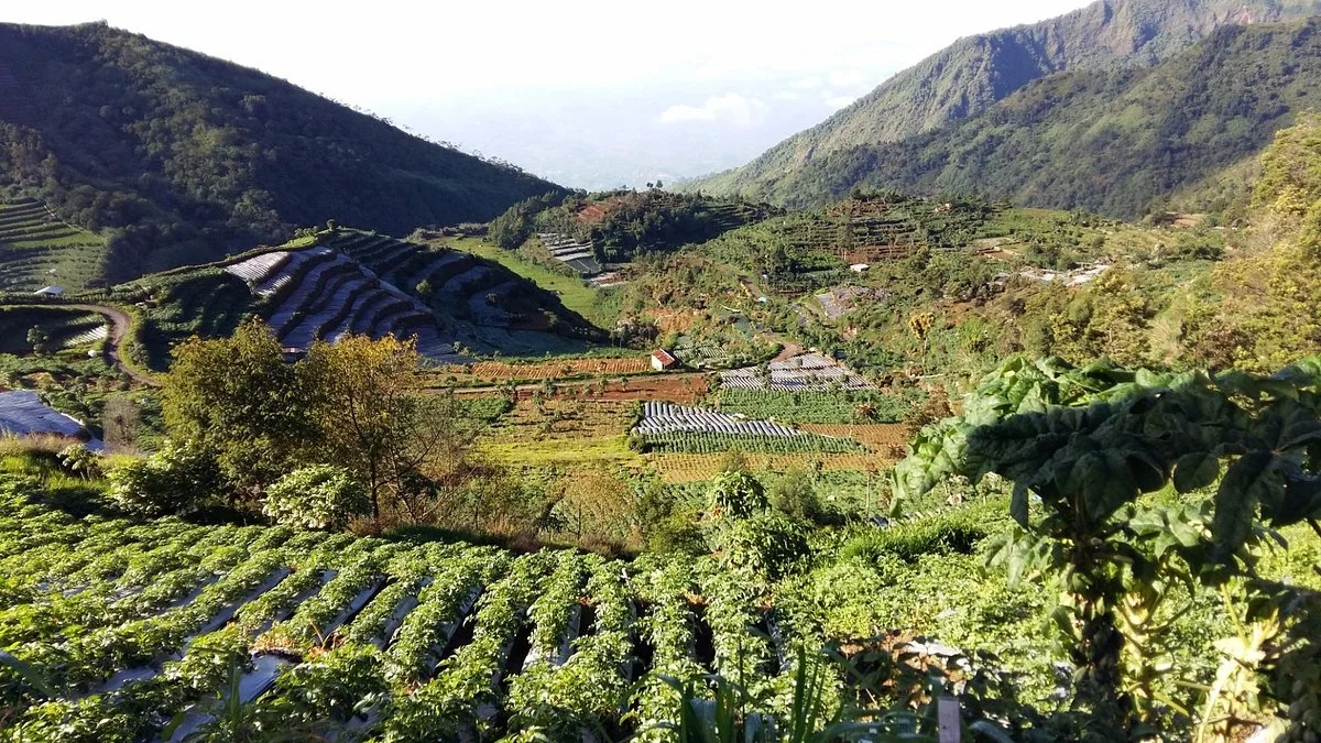 Sembungan Village