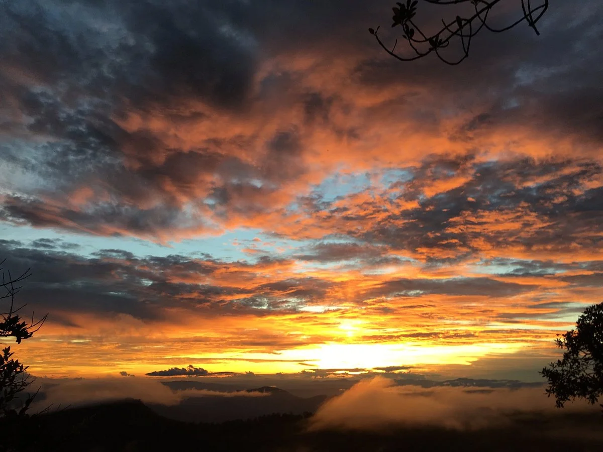 Phu Soi Dao National Park