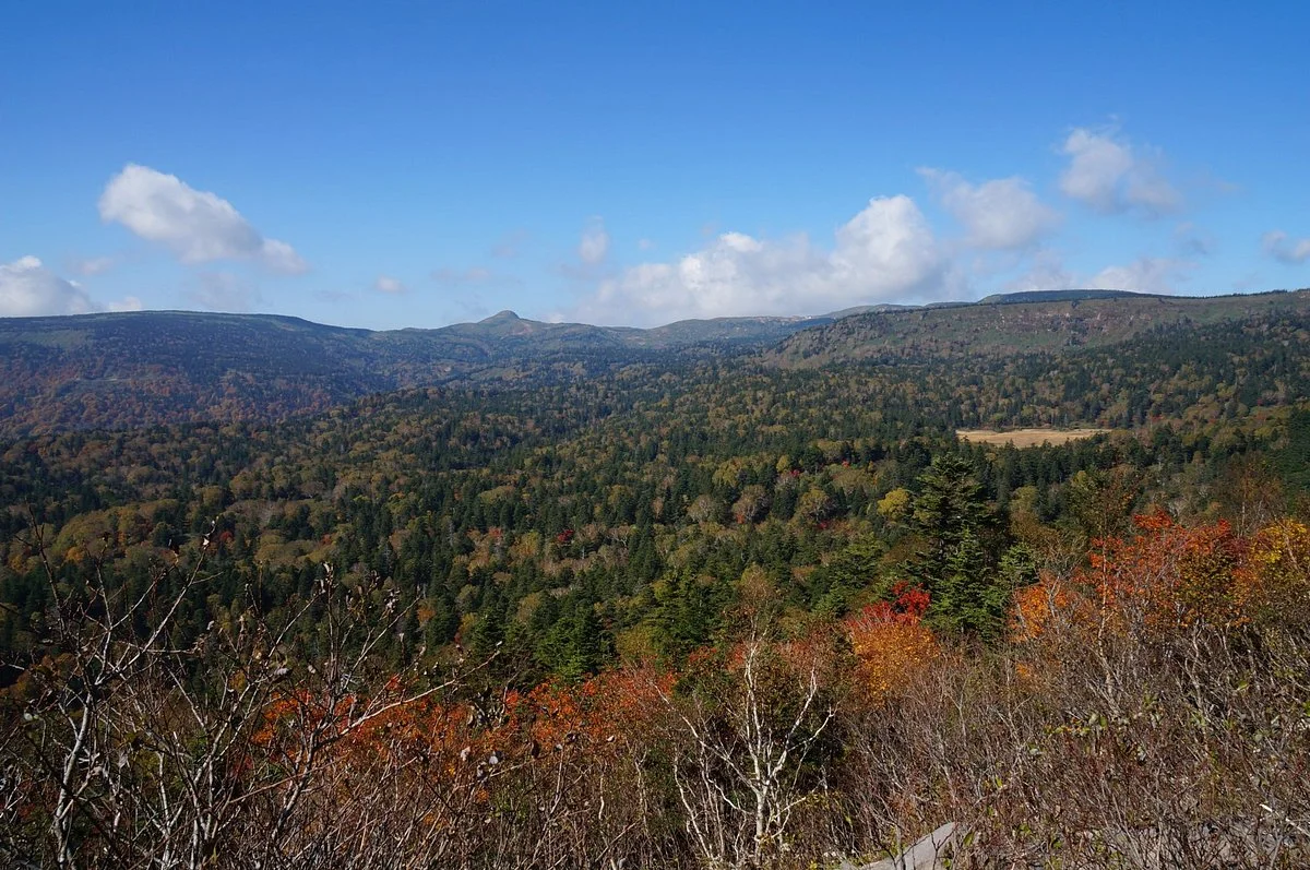 Gentaiwa Observation Deck