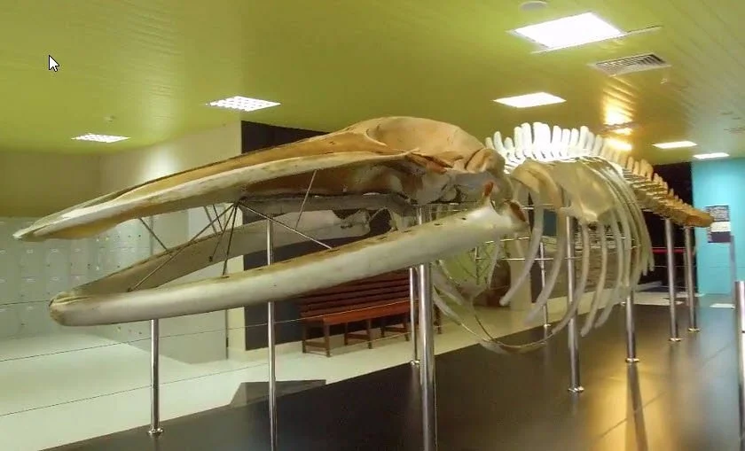 Malay Technology Museum