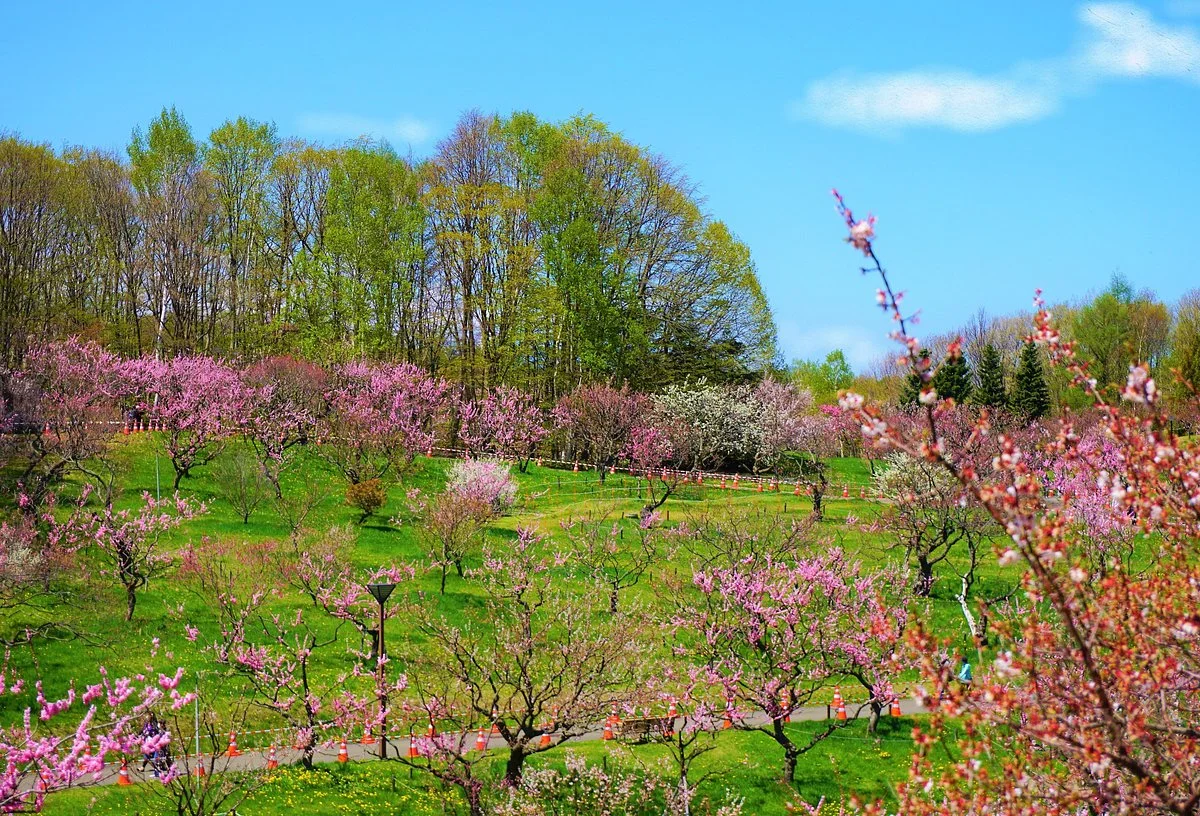 Hiraoka Park