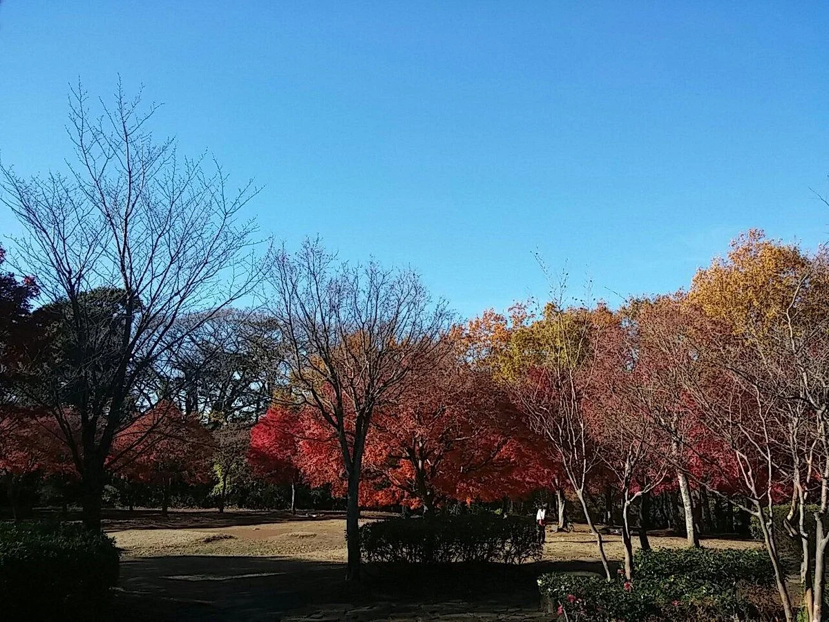 Maioka Park