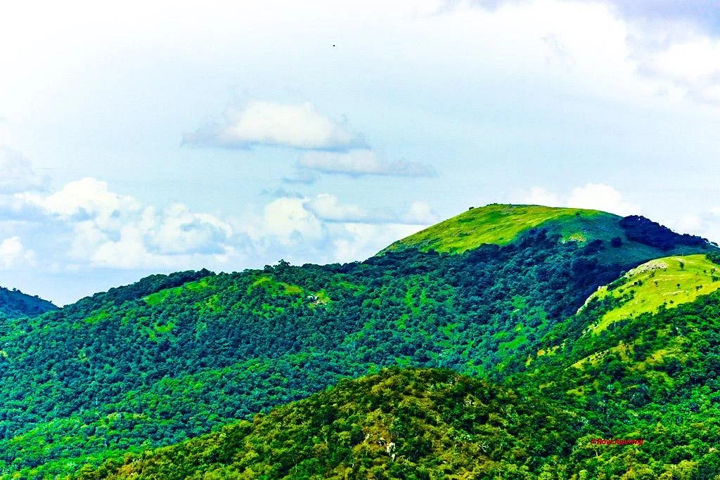 Br Hills Wildlife Sanctuary