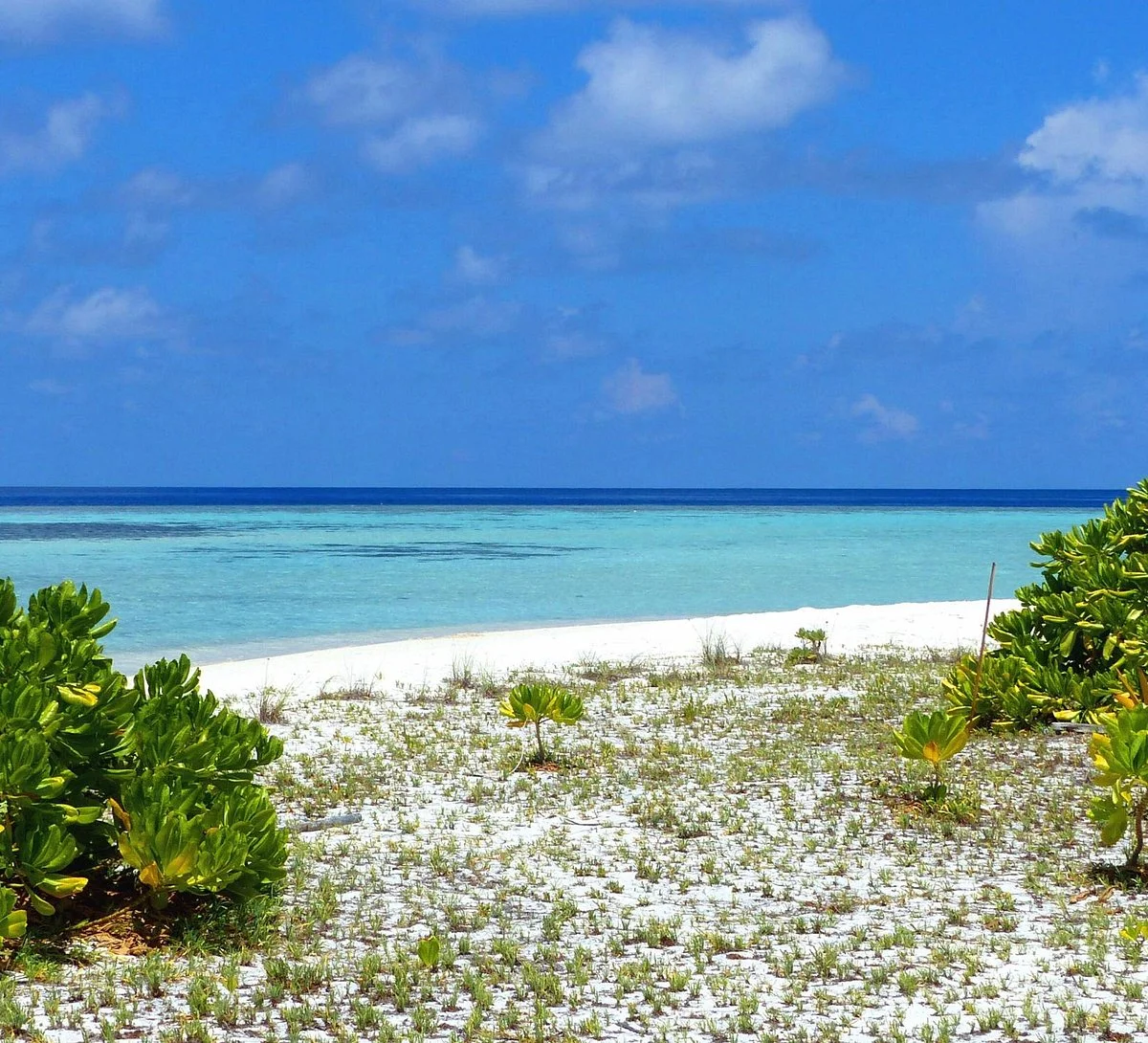 Aarah Islands