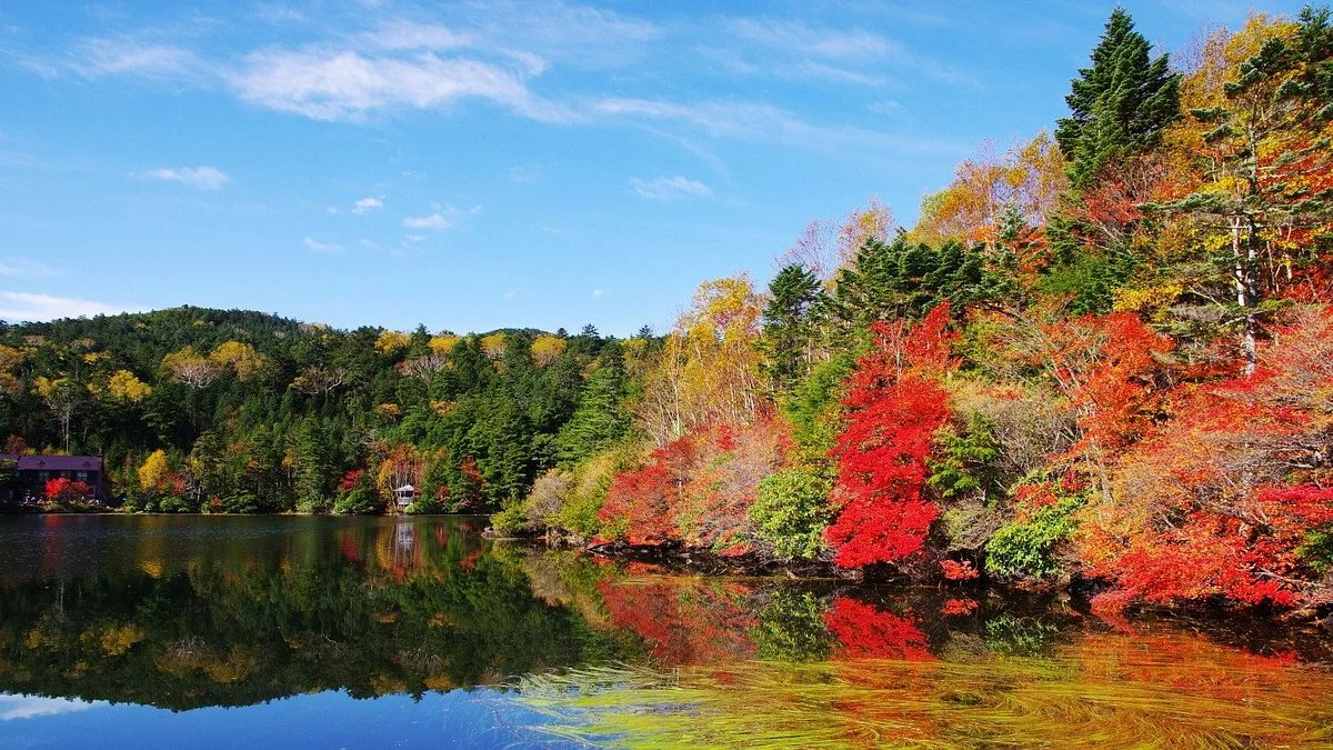 Pond Shirakoma