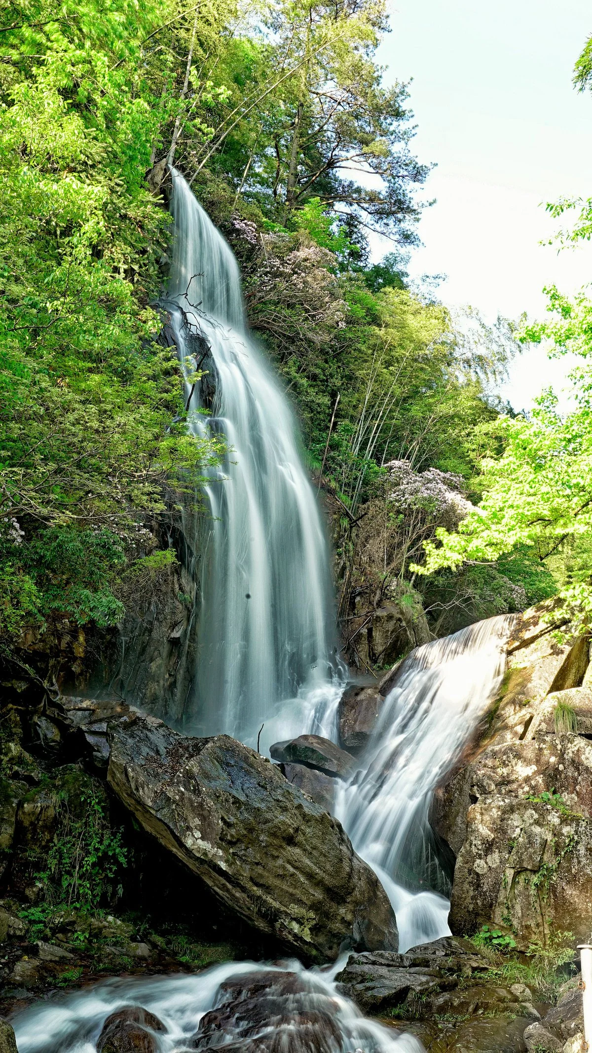 Dawei Mountain National Forest Park