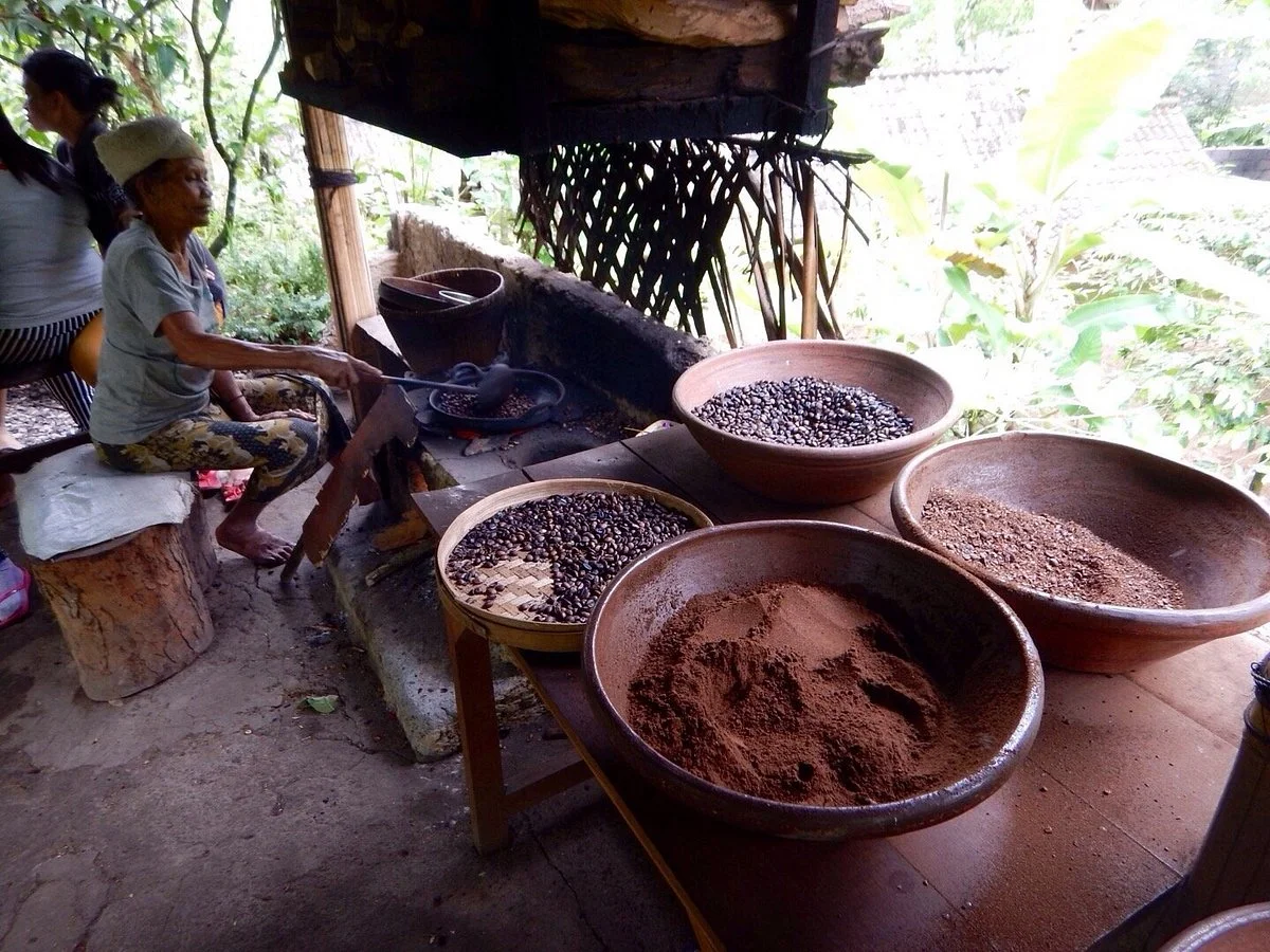 Satria Coffee Plantation