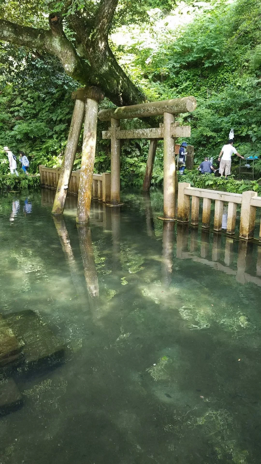 Mitarashi Pond