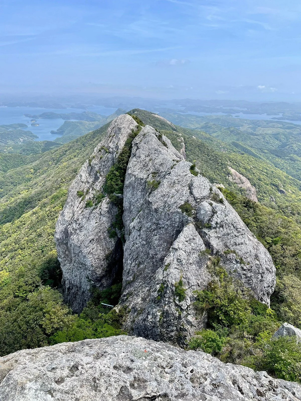 Shiratake
