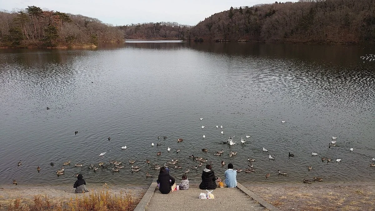 Kasenuma Lake