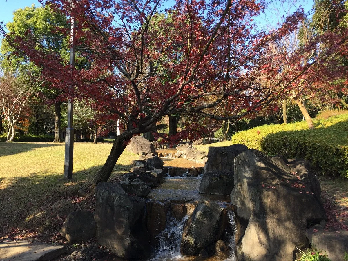 Musashizuka Park