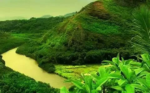 Jaldhaka River Valley