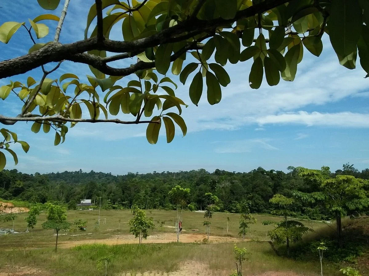 Taman Hutan Raya Sultan Syarif Hasyim