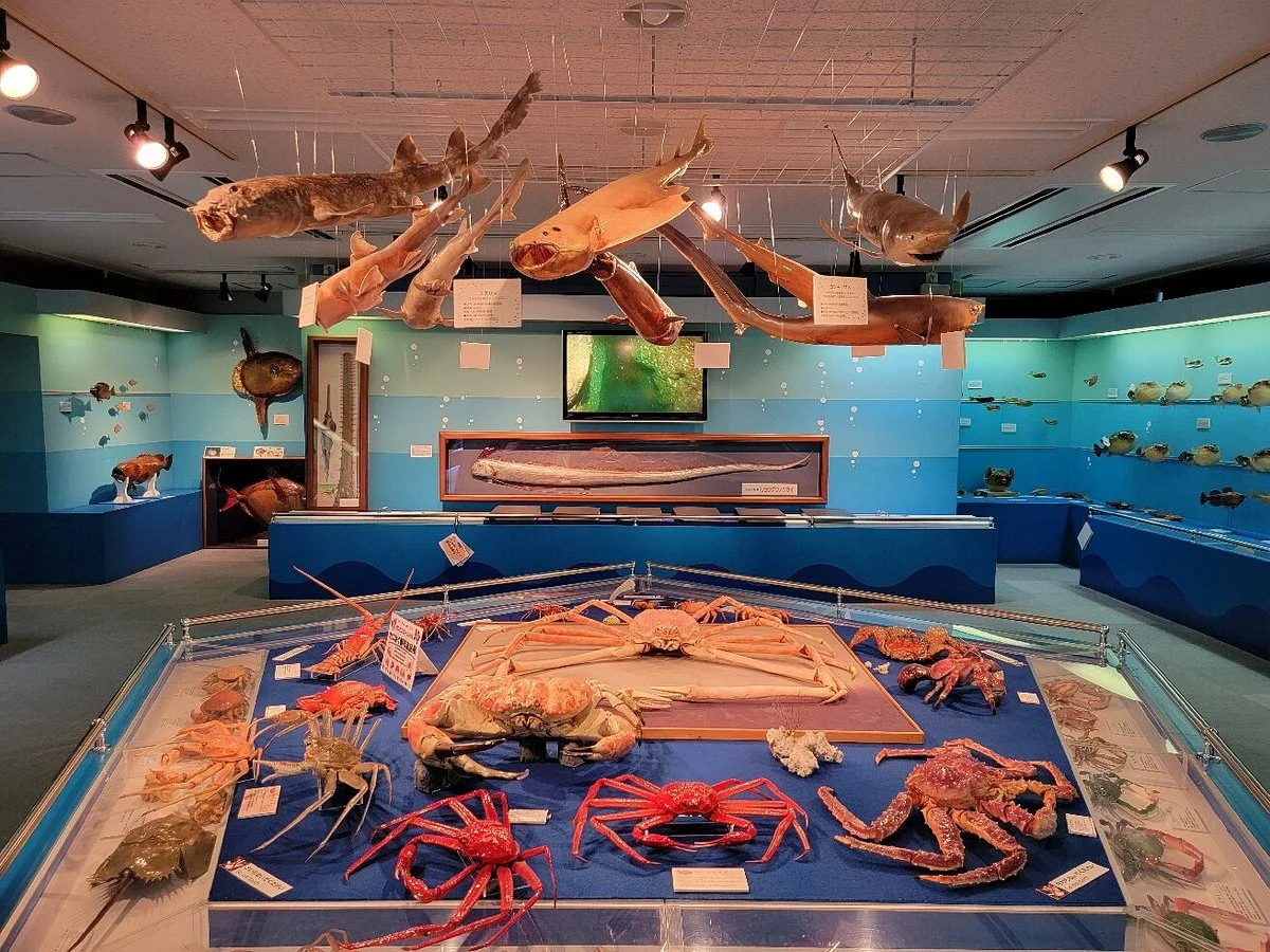 Geopark and Sea Culture Museum