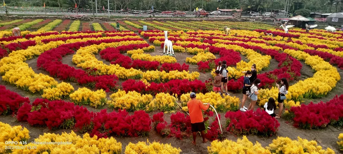 Kalan-an Sa Garden