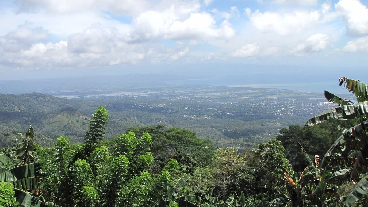 Mt Palpalan