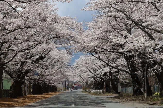 Yonomori Park