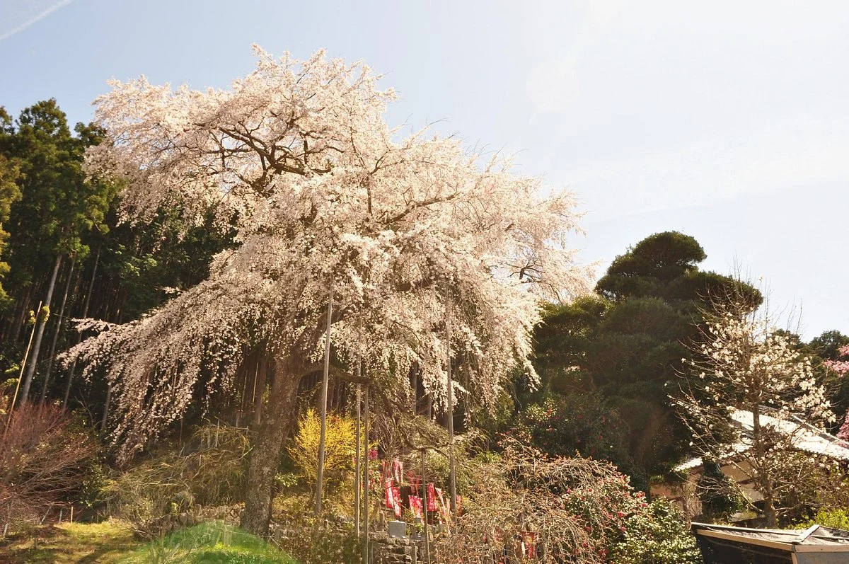 Ryushoji Temple