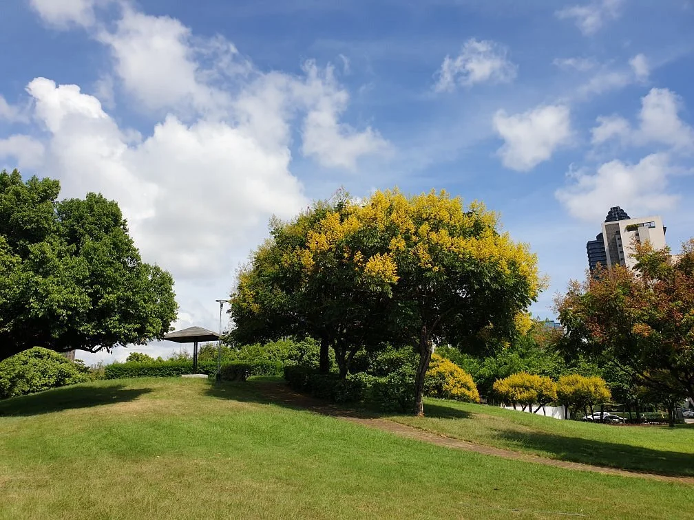 Chaoyanghuanbao Park