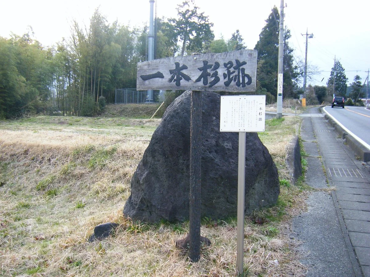 Remains of Ippon Sugi