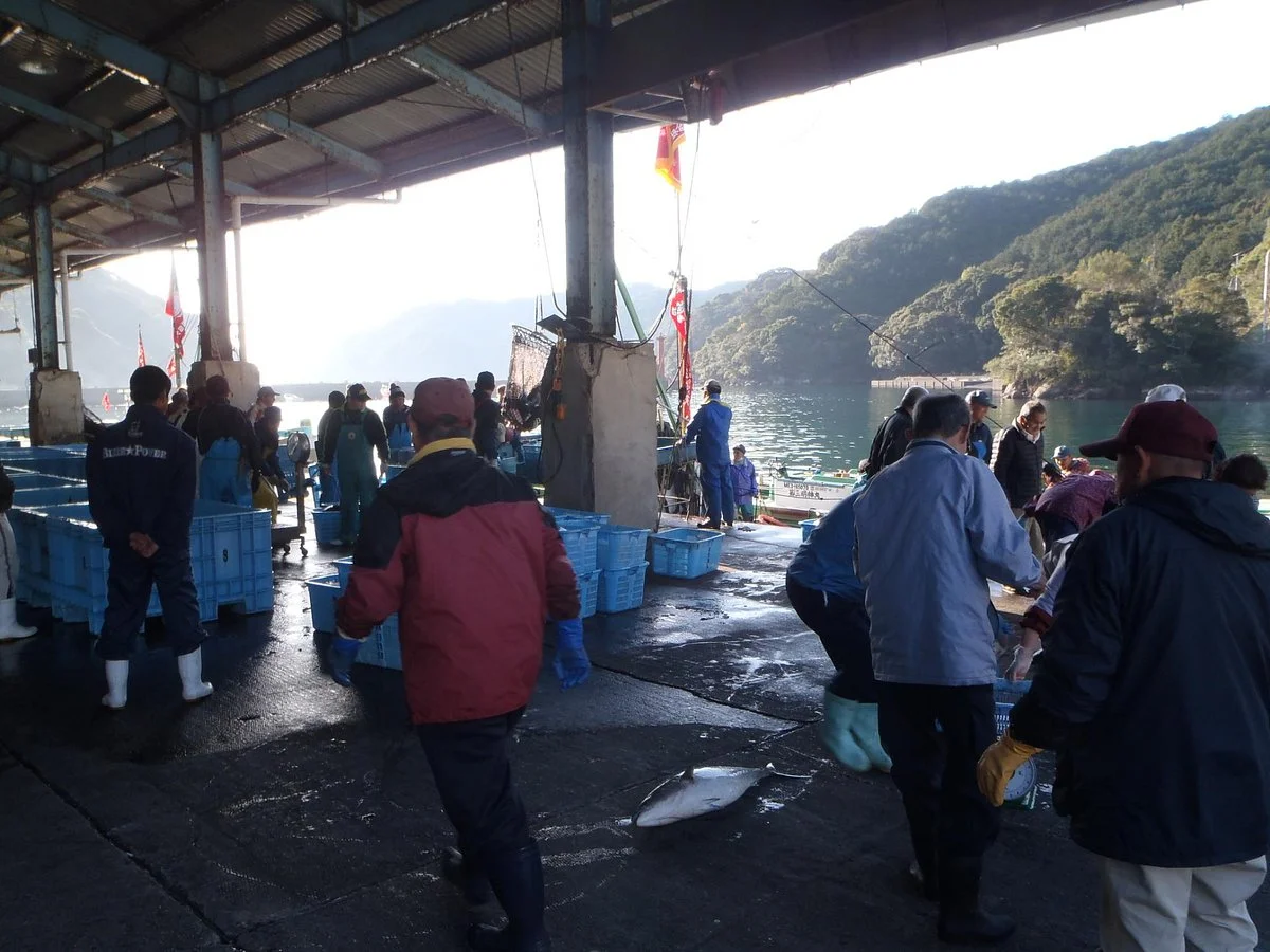 Haida Fishing Harbor