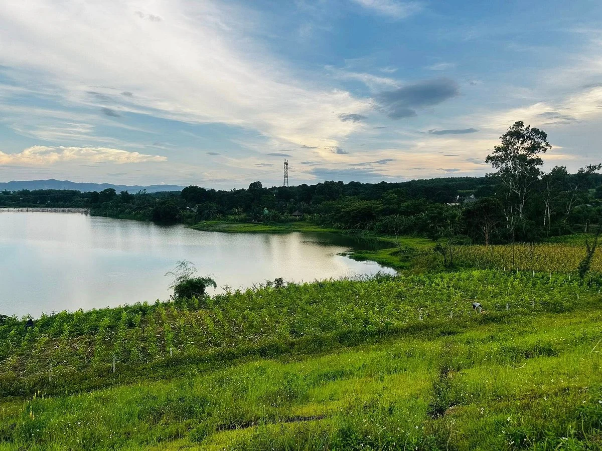 Thung Lung Hoa Phu Quy