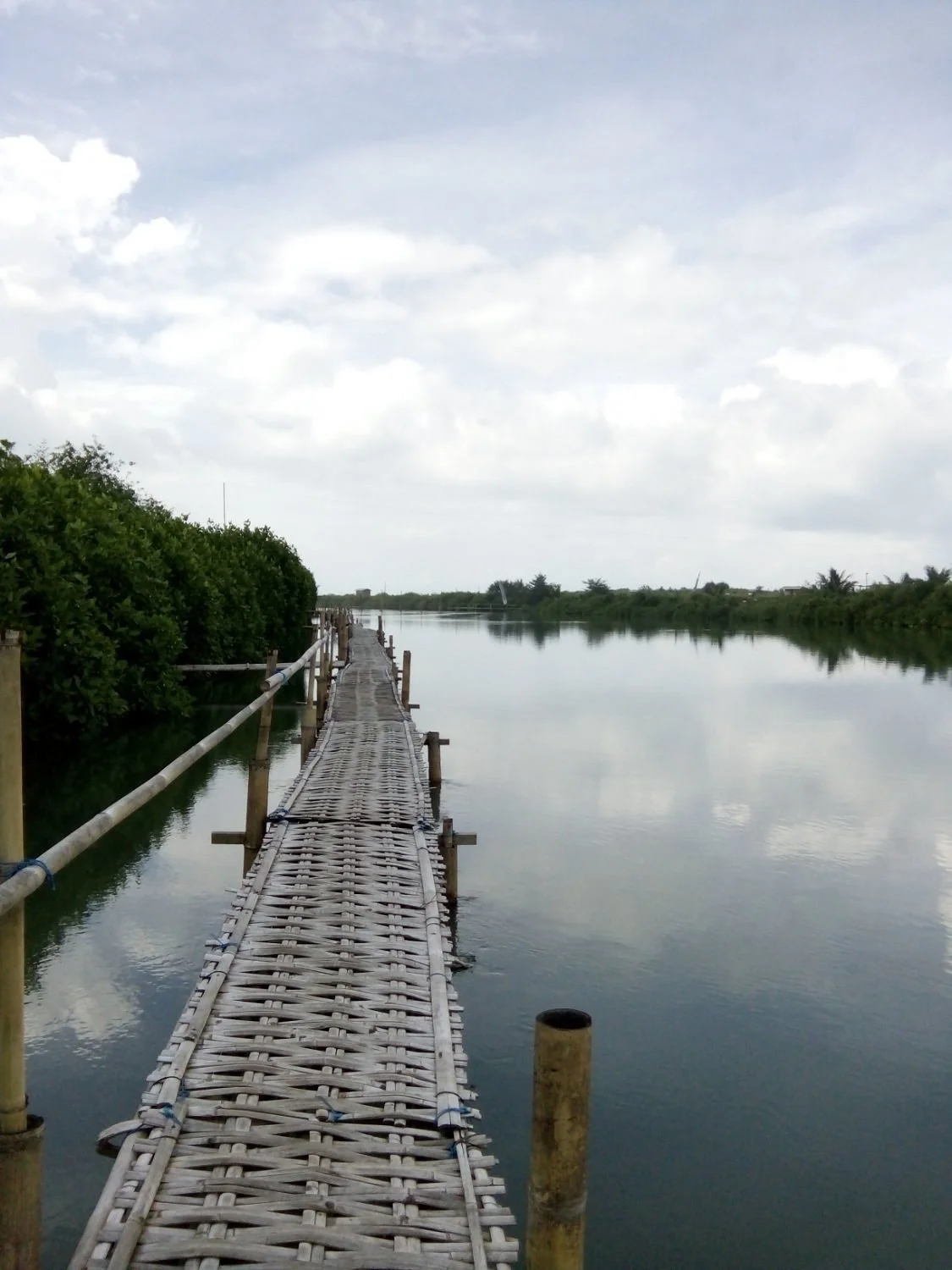 Api Api Bridge