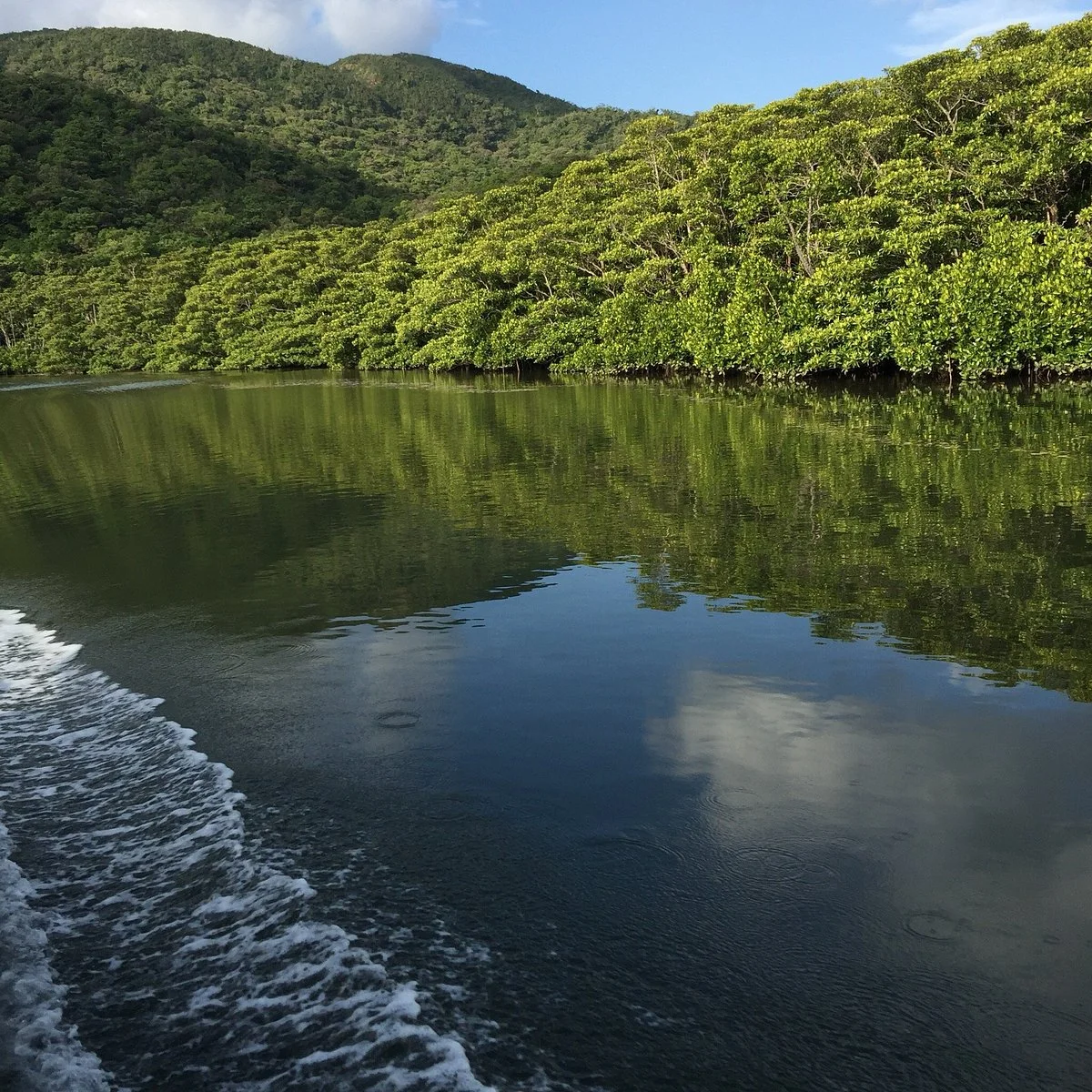 Nakama-river Protected Region