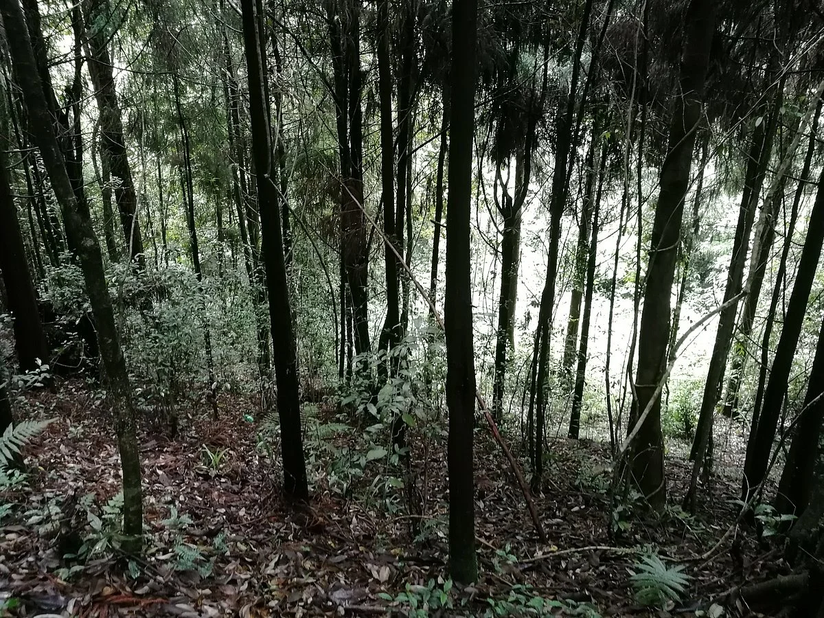 Maenam Wildlife Sanctuary