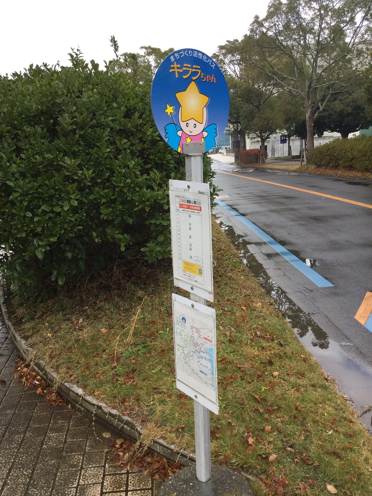 Kirara-chan Bus