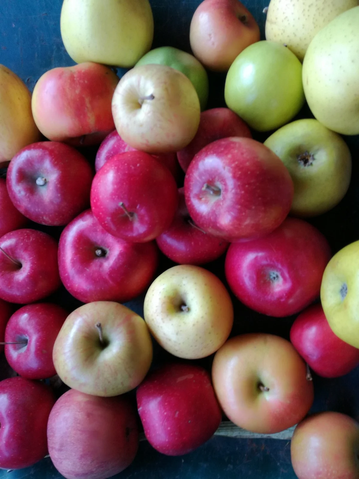 Iizuna-Machi Iizuna Apple Museum