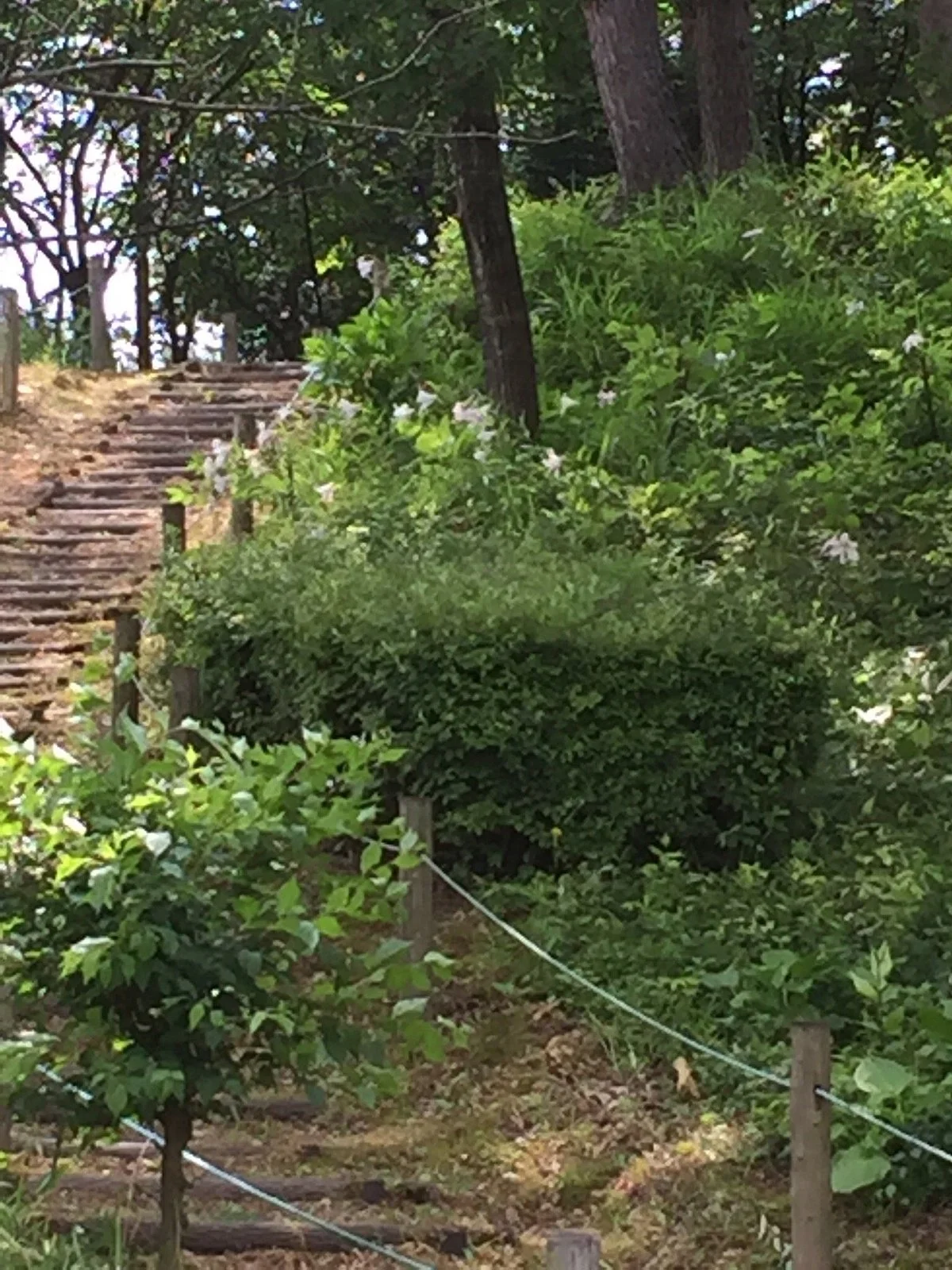 Kibo no Oka Park